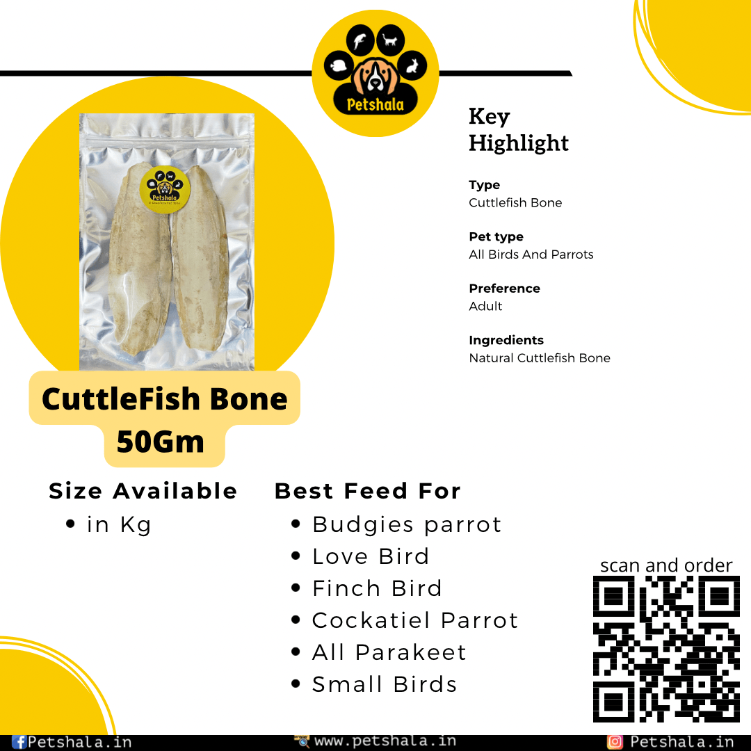 Cuttel Fish Bone 2 Piece - Image 2
