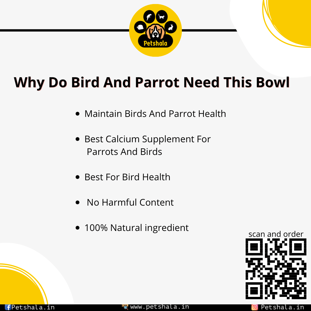 Cuttelfish Bone 100gm - Image 3