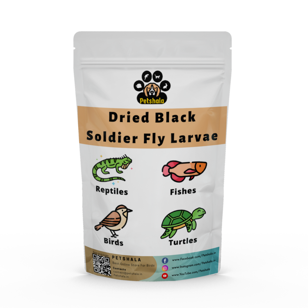 Dried Black Soldier Fly Larvae 25g