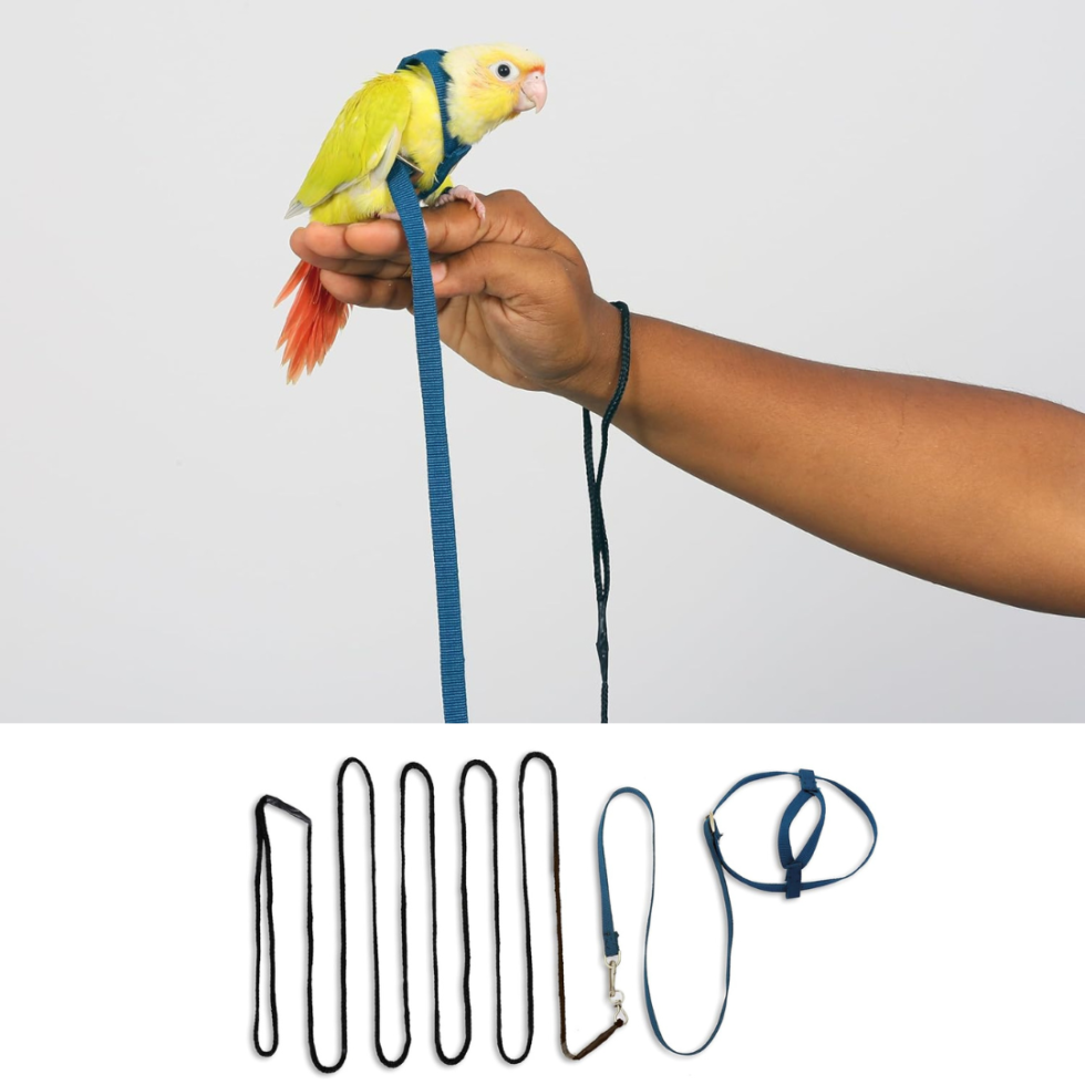 Bird Harness Grey Color