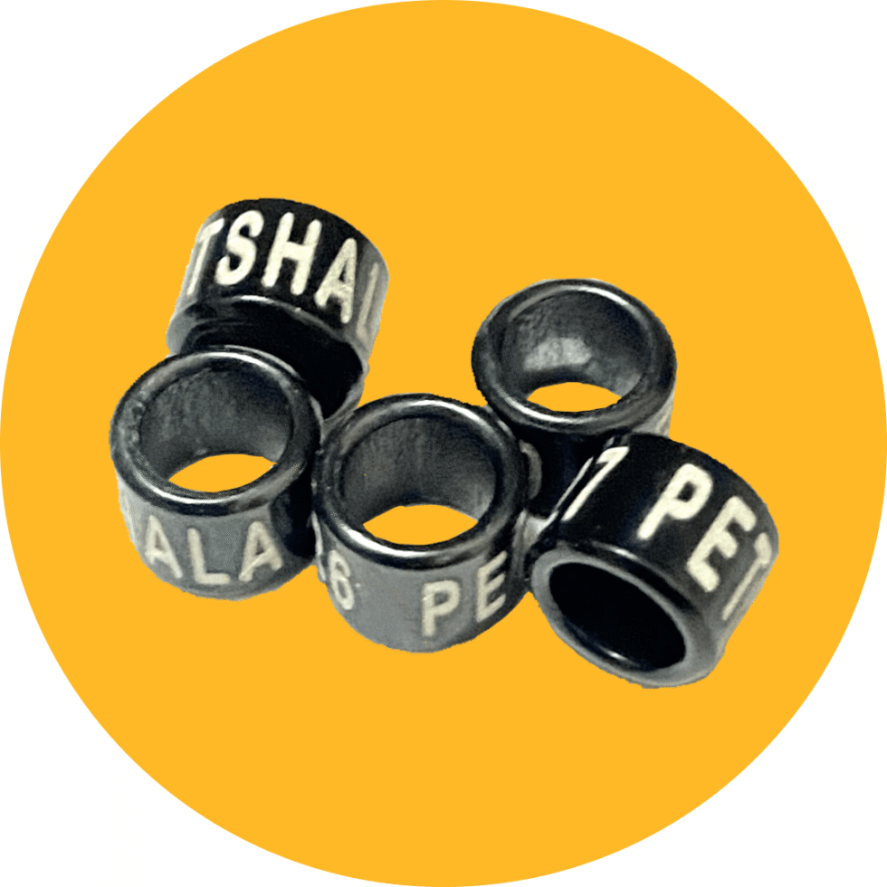 5 Close Ring Love Bird