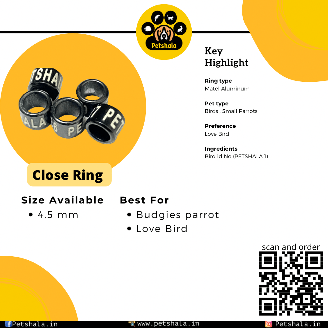 5 Close Ring Love Bird - Image 3