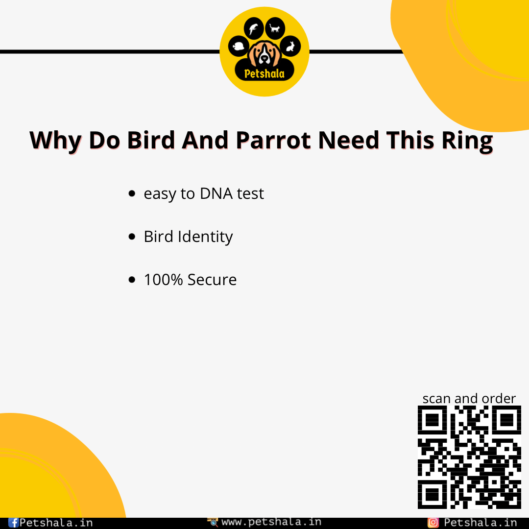 5 Close Ring Love Bird - Image 5